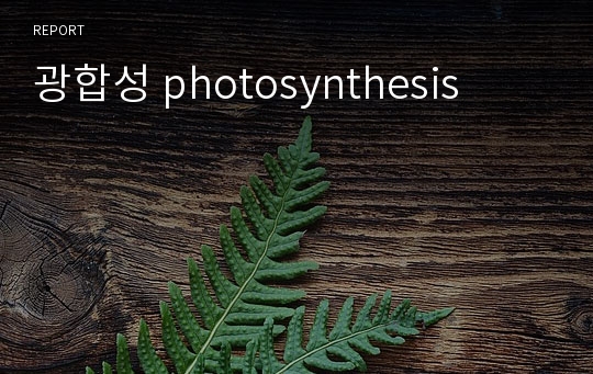 광합성 photosynthesis
