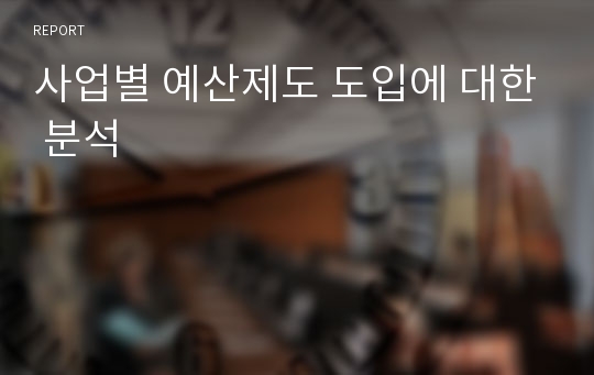 사업별 예산제도 도입에 대한 분석