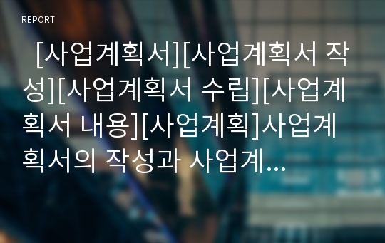   [사업계획서][사업계획서 작성][사업계획서 수립][사업계획서 내용][사업계획]사업계획서의 작성과 사업계획서 수립 및 사업계획서 내용 고찰(사업계획서, 사업계획서 작성, 사업계획서 수립, 사업계획서 내용)