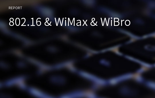 802.16 &amp; WiMax &amp; WiBro