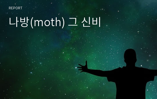 나방(moth) 그 신비