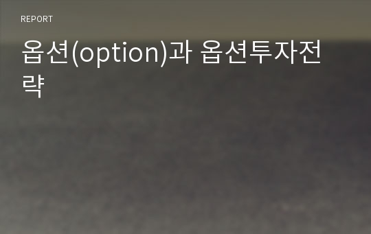 옵션(option)과 옵션투자전략