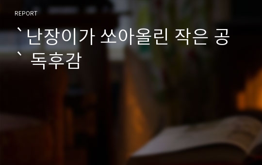 `난장이가 쏘아올린 작은 공` 독후감