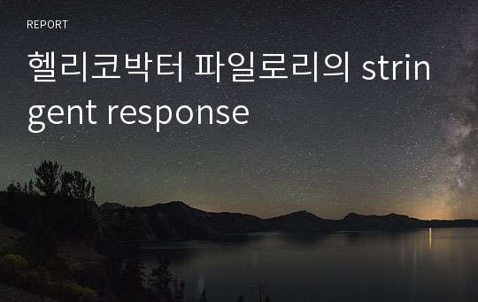 헬리코박터 파일로리의 stringent response