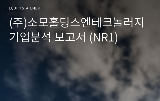 (주)소모홀딩스엔테크놀러지 기업분석 보고서 (NR1)