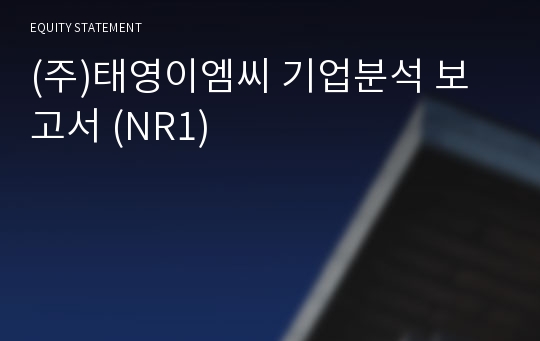 (주)태영이엠씨 기업분석 보고서 (NR1)