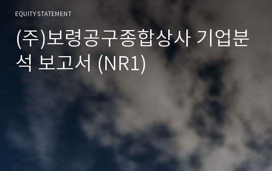 (주)보령공구종합상사 기업분석 보고서 (NR1)