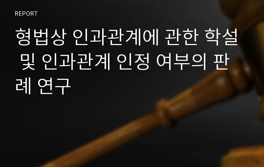 형법상 인과관계에 관한 학설 및 인과관계 인정 여부의 판례 연구