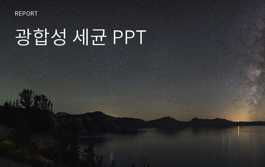 광합성 세균 PPT