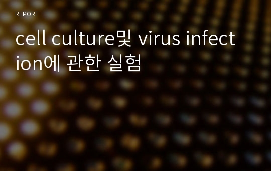 cell culture및 virus infection에 관한 실험