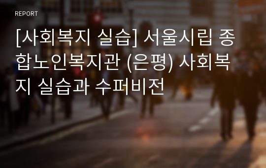 [사회복지 실습] 서울시립 종합노인복지관 (은평) 사회복지 실습과 수퍼비전