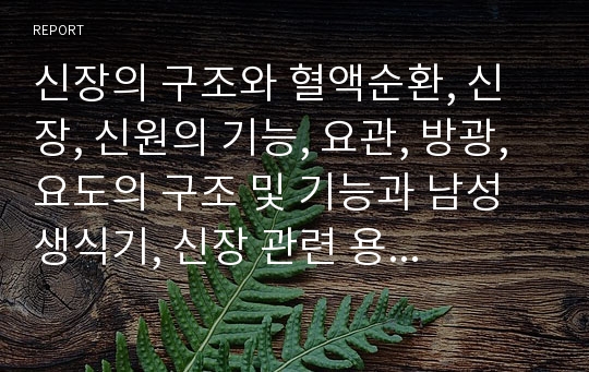 신장의 구조와 혈액순환, 신장, 신원의 기능, 요관, 방광, 요도의 구조 및 기능과 남성생식기, 신장 관련 용어 및 약어