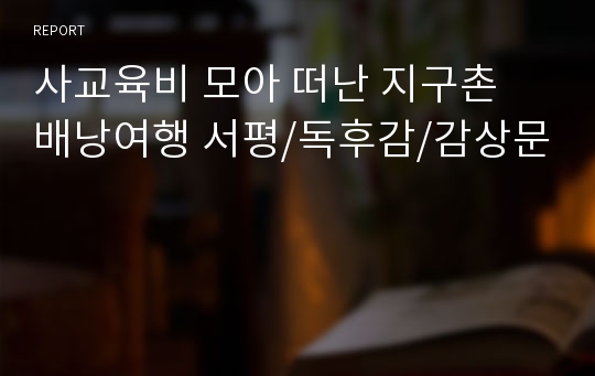 사교육비 모아 떠난 지구촌 배낭여행 서평/독후감/감상문