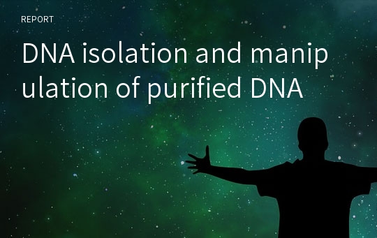 DNA isolation and manipulation of purified DNA