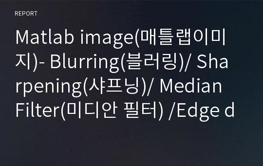 Matlab image(매틀랩이미지)- Blurring(블러링)/ Sharpening(샤프닝)/ Median Filter(미디안 필터) /Edge detection / 확대 / 축소 /회전