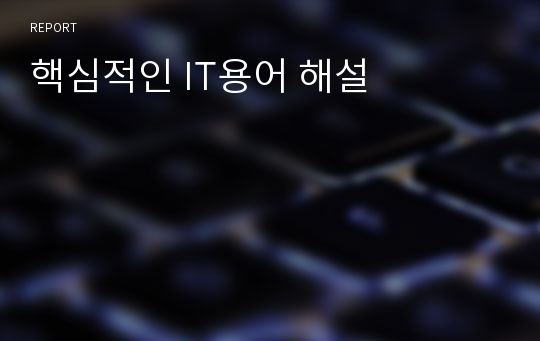 핵심적인 IT용어 해설