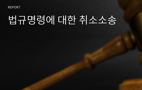 법규명령에 대한 취소소송