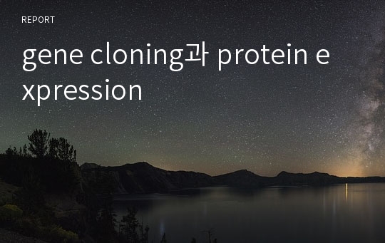 gene cloning과 protein expression