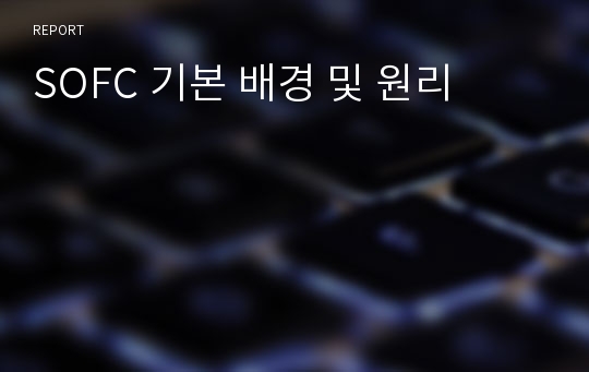 SOFC 기본 배경 및 원리