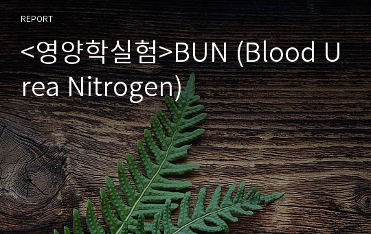 &lt;영양학실험&gt;BUN (Blood Urea Nitrogen)
