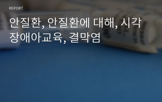 안질환, 안질환에 대해, 시각장애아교육, 결막염