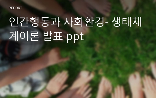 인간행동과 사회환경- 생태체계이론 발표 ppt