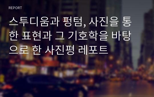 스투디움과 펑텀, 사진을 통한 표현과 그 기호학을 바탕으로 한 사진평 레포트