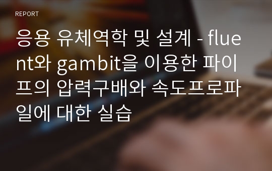 응용 유체역학 및 설계 - fluent와 gambit을 이용한 파이프의 압력구배와 속도프로파일에 대한 실습