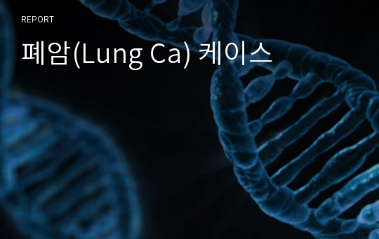 폐암(Lung Ca) 케이스