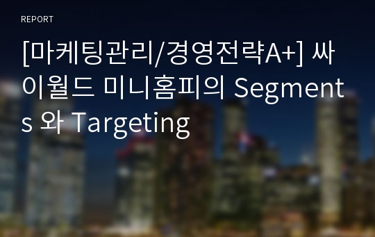 [마케팅관리/경영전략A+] 싸이월드 미니홈피의 Segments 와 Targeting