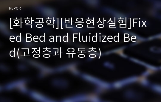 [화학공학][반응현상실험]Fixed Bed and Fluidized Bed(고정층과 유동층)