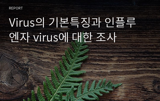 Virus의 기본특징과 인플루엔자 virus에 대한 조사