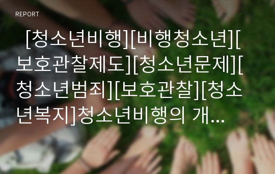   [청소년비행][비행청소년][보호관찰제도][청소년문제][청소년범죄][보호관찰][청소년복지]청소년비행의 개념, 청소년비행의 원인, 청소년비행의 현황, 미국, 일본, 한국의 보호관찰제도, 청소년비행의 예방활동 분석