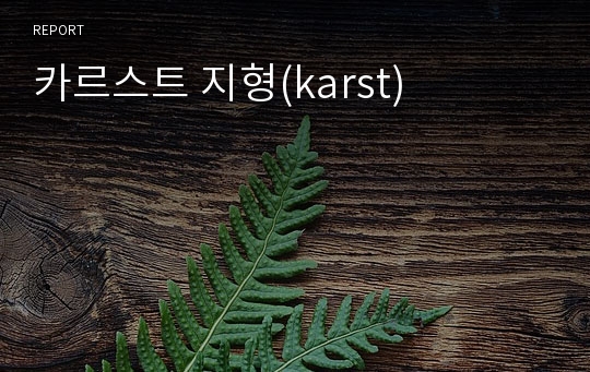 카르스트 지형(karst)