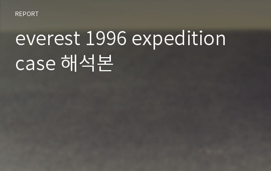 everest 1996 expedition case 해석본