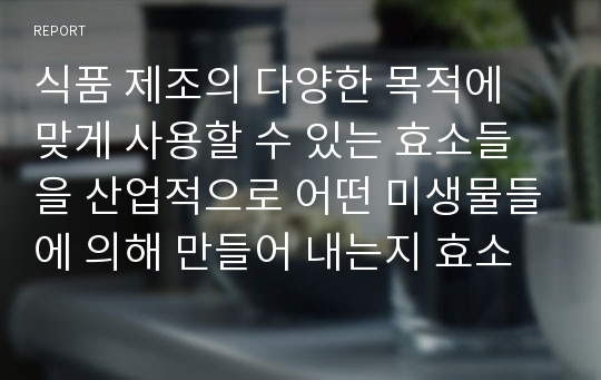 식품 제조의 다양한 목적에 맞게 사용할 수 있는 효소들을 산업적으로 어떤 미생물들에 의해 만들어 내는지 효소