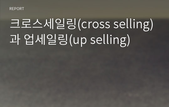 크로스세일링(cross selling)과 업세일링(up selling)