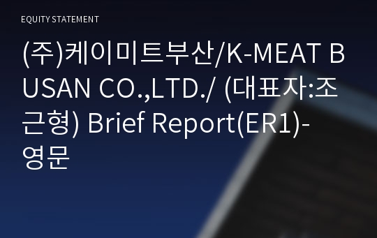 (주)케이미트부산 Brief Report(ER1)-영문