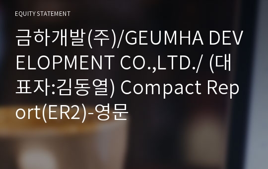 금하개발(주) Compact Report(ER2)-영문