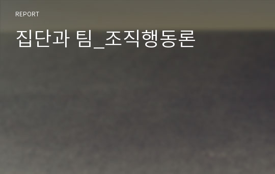 집단과 팀_조직행동론