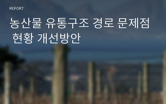 농산물 유통구조 경로 문제점 현황 개선방안