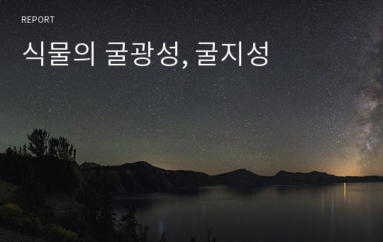 식물의 굴광성, 굴지성