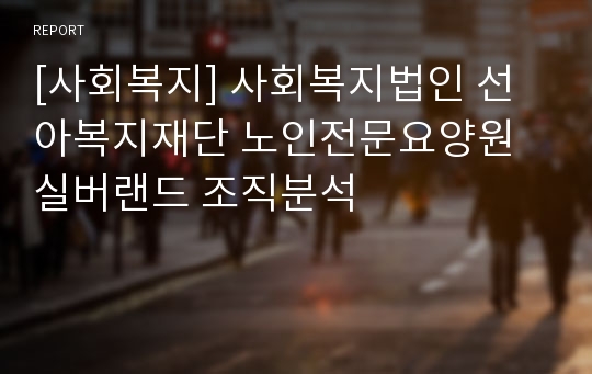 [사회복지] 사회복지법인 선아복지재단 노인전문요양원  실버랜드 조직분석