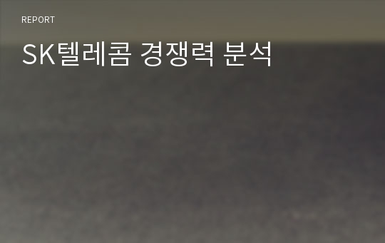 SK텔레콤 경쟁력 분석