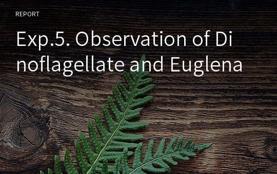 Exp.5. Observation of Dinoflagellate and Euglena