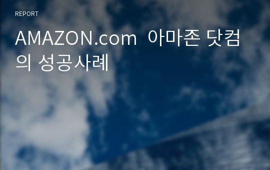 AMAZON.com  아마존 닷컴의 성공사례