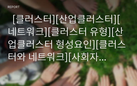   [클러스터][산업클러스터][네트워크][클러스터 유형][산업클러스터 형성요인][클러스터와 네트워크][사회자본]클러스터의 타당성, 클러스터의 유형, 산업클러스터의 형성요인, 클러스터와 네트워크, 사회자본 분석