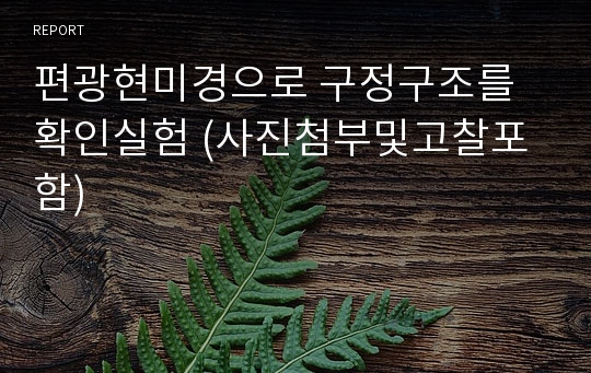 편광현미경으로 구정구조를 확인실험 (사진첨부및고찰포함)