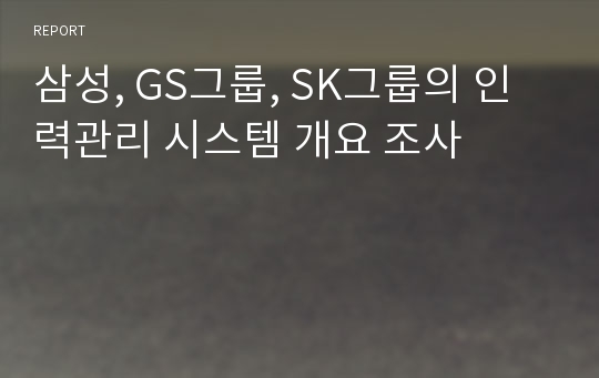 삼성, GS그룹, SK그룹의 인력관리 시스템 개요 조사