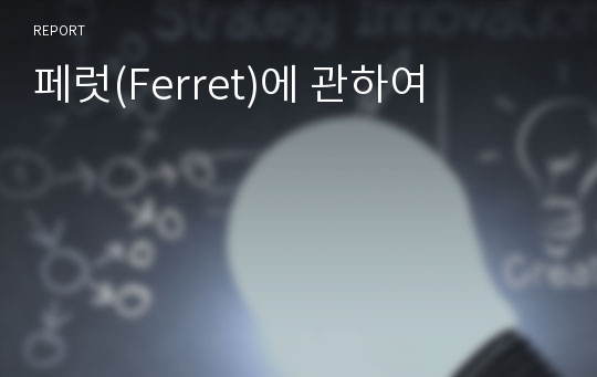 페럿(Ferret)에 관하여